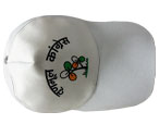 side cap manufacturer and suppliers in Delhi India